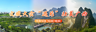 文旅大会“遇见”壮美广西_fororder_386X130